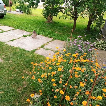 Apartament Lovas Vendeghaz Obanya Zewnętrze zdjęcie